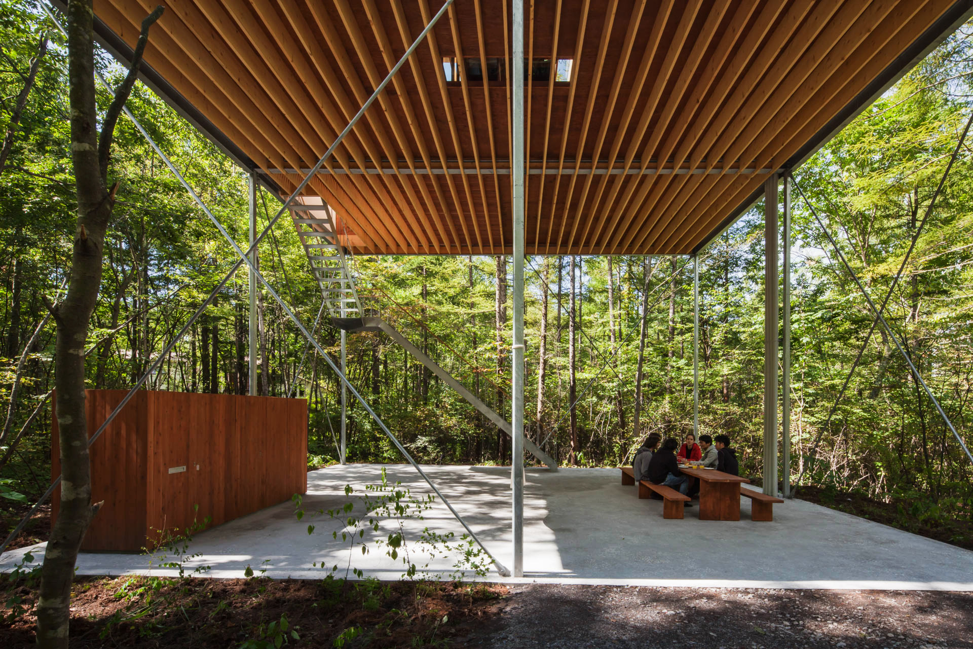 Pilotis in a Forest House by Go Hasegawa