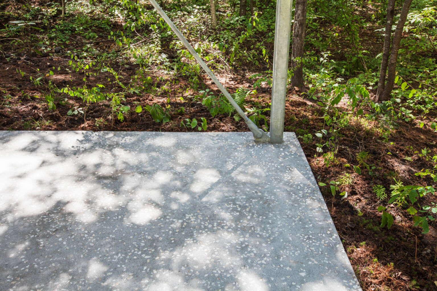 Pilotis in a Forest | Go Hasegawa and Associates