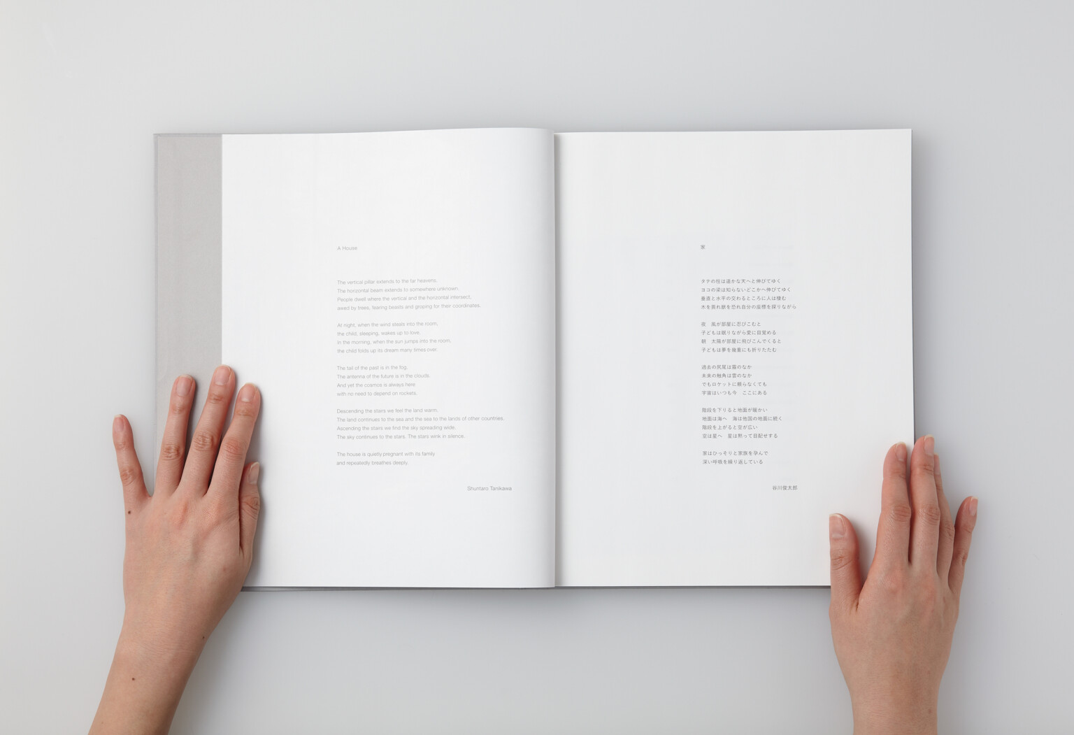 Go Hasegawa Works | Go Hasegawa and Associates